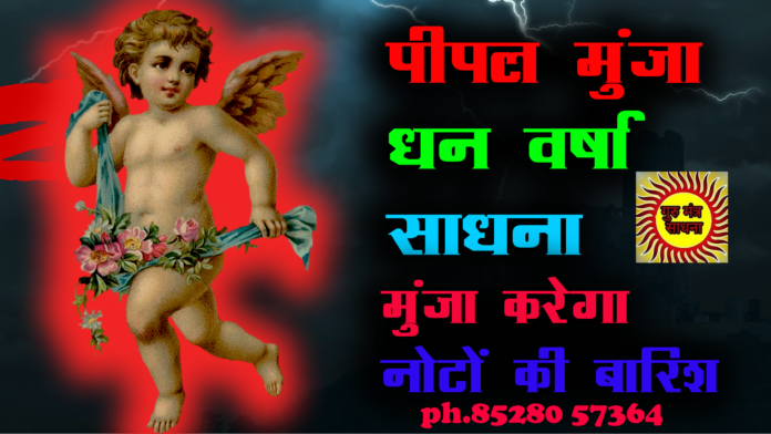 munja dhan varsha sadhna munja sadhna चमत्कारी मुंजा साधना 7 दिन में प्रत्यक्ष प्रकट होगा बिना मंत्र जाप के munja sadhna