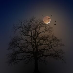 halloween, tree, silhouette, moon, fog, bats, creepy, horror, weird, dark, mysterious, night, magic, black, atmosphere, nature, branches, lighting, mystical, blue, happyhalloween, halloweenchallenge